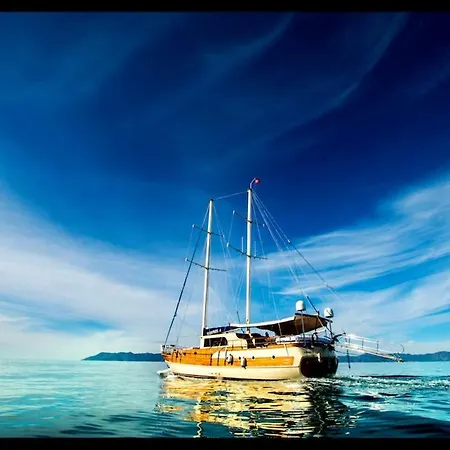 Albatros A Botel