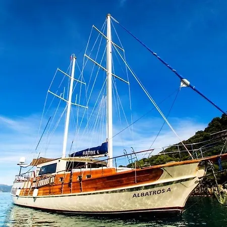 Albatros A Fethiye