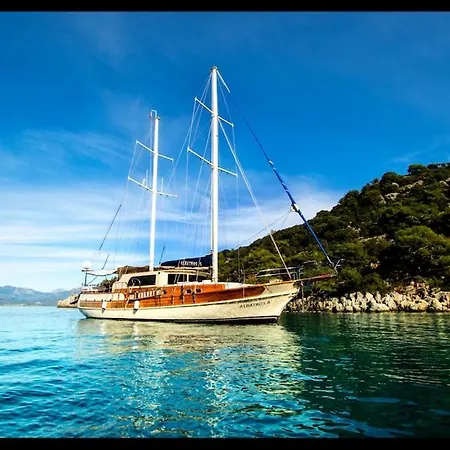 Albatros A Botel